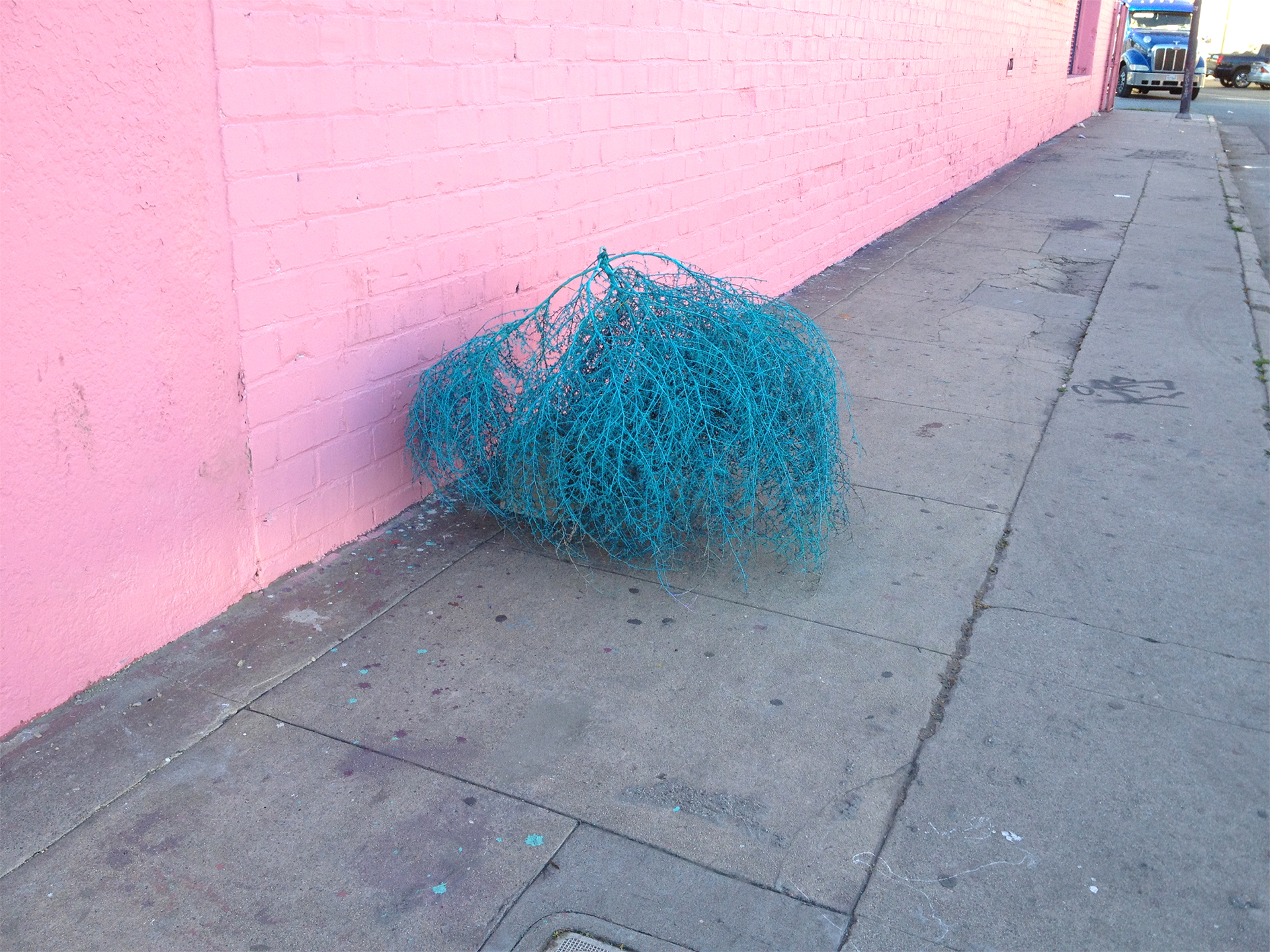 Operation Tumbleweed