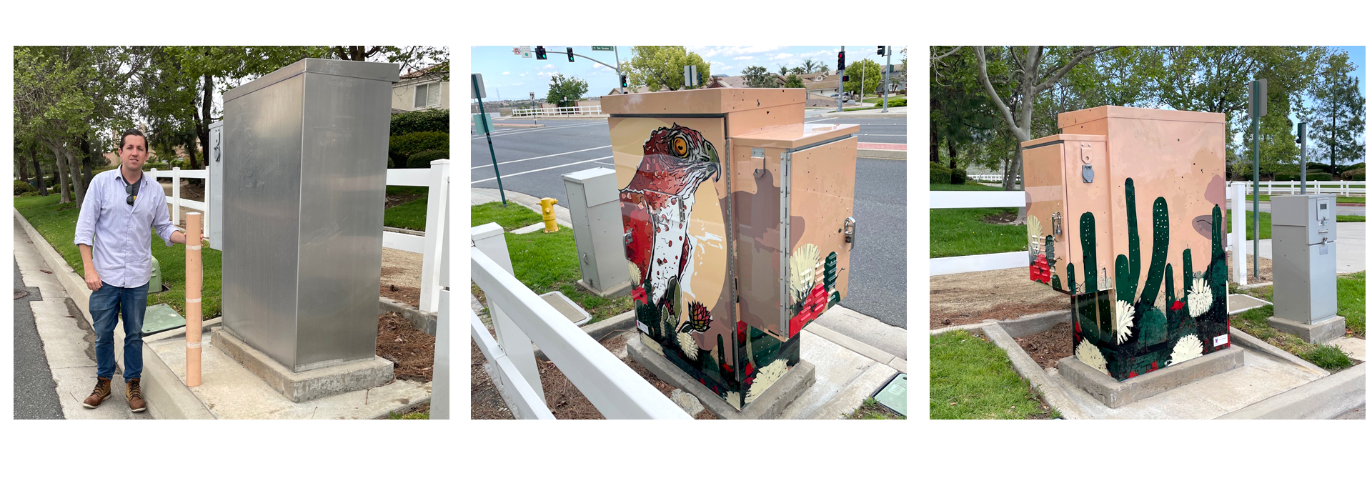 The Cooper Hawk public art mural concept by John Hanrahan