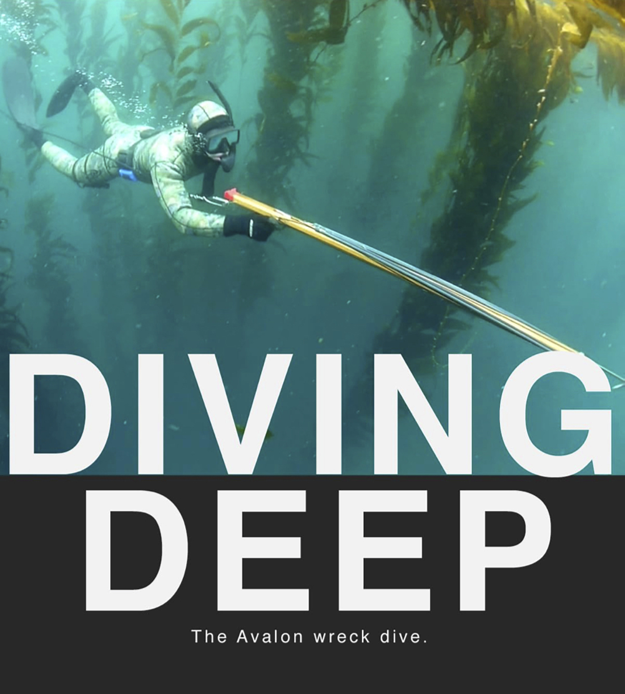 Film / Video Projects